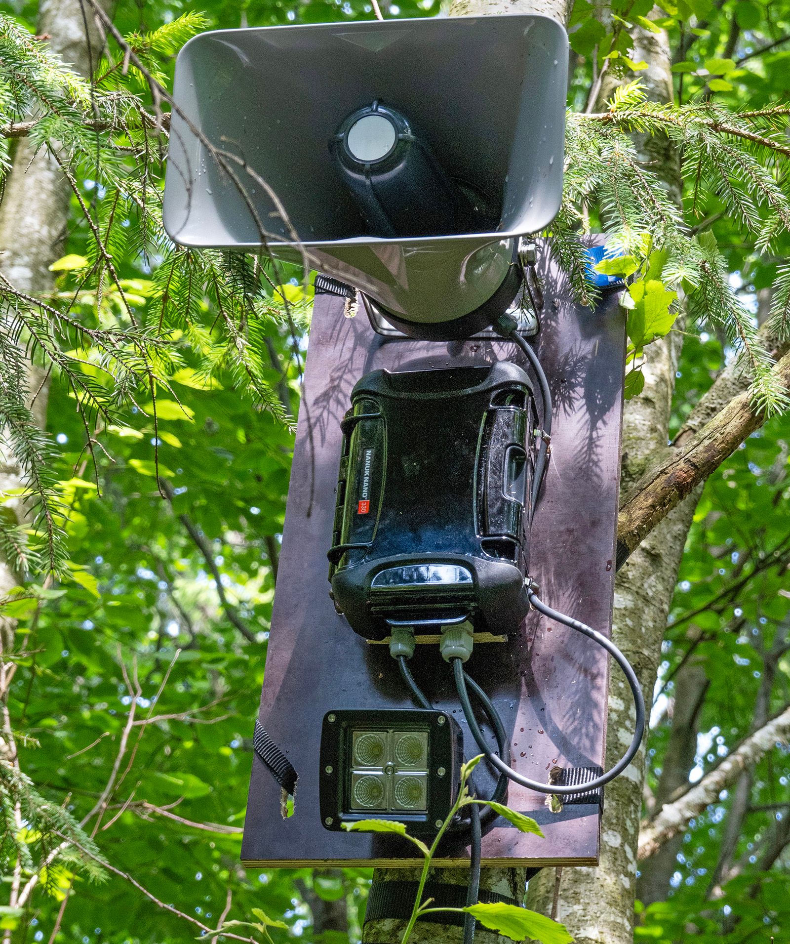 Repeller system in a tree.